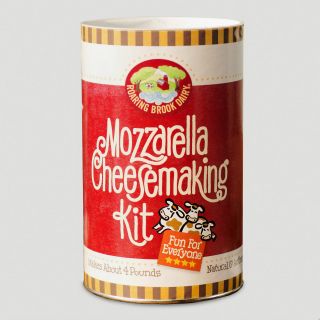 Mozzarella Cheesemaking Kit   World Market