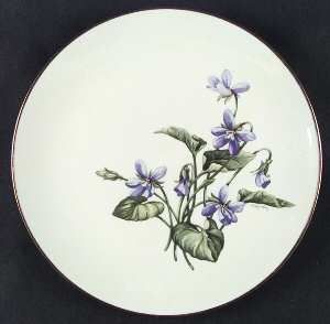 Franciscan Olympic Dinner Plate, Fine China Dinnerware   Purple Violets, Coupe S