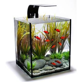 EcoPico Desktop Fish Aquarium, 5 galllon