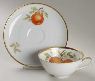 Hutschenreuther Fruit (Favorit Shape) Flat Cup & Saucer Set, Fine China Dinnerwa