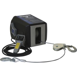 Dutton Lainson StrongArm 120V AC Electric Winch with Remote Control   4,000 Lb.