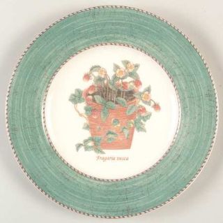 Wedgwood SarahS Garden Salad Plate, Fine China Dinnerware   Earthenware, Floral