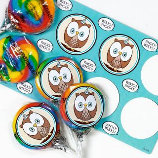 Blue Owl Small Lollipop Kit