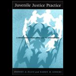 Juvenile Justice Practice  A Cross Disciplinary Approach to Intervention