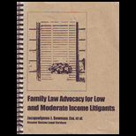 Family Law Advocacy for Low and Moderate