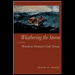 Weathering the Storm  Inside Winslow Homers Gulf Stream