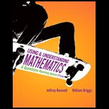 Using and Understanding Mathematics   With Access
