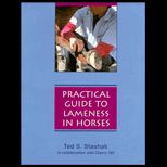 Practical Guide to Lameness in Horses
