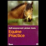 Self Assessment Picture Tests in Veterinary Medicine  Equine Practice