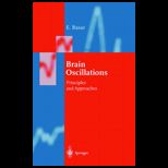 Brain Function and Oscillations, Volume 1