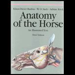 Anatomy of the Horse  Illustrated Text