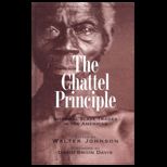 Chattel Principle  Internal Slave Trades In The Americas