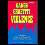 Gangs, Graffiti and Violence  A Realistic Guide to the Scope and Nature of Gangs in America