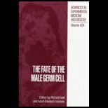 Fate of Male Germ Cell