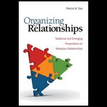 Organizing Relationships Traditional and Emerging Perspectives on Workplace Relationships