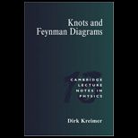 Knots and Feynman Diagrams