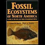 Extraordinary Fossil Ecosystems of North America  A History of and Guide to the Sites