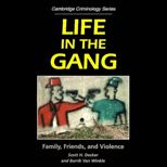 Life in the Gang  Family, Friends, and Violence