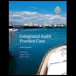 Integrated Audit Practice Case   Package (New)