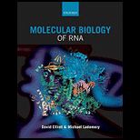 Molecular Biology of RNA