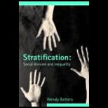 Stratification  Social Division and Inequality