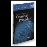 Principles of Criminal Procedure