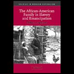 African American Family in Slavery and Emancipation