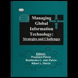Managing Global Information Technology Strategies and Challenges