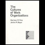 Cultures of Work Organizations