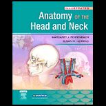 Illustrated Anatomy of the Head and Neck  Illustrated Dental Embryology