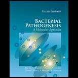 Bacterial Pathogenesis A Molecular Approach