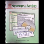 Neuroscience   With Neurons in Actions 2