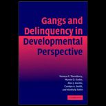 Gangs and Delinquency in Development Perspective
