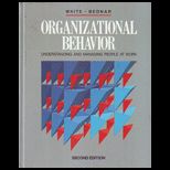 Organizational Behavior Understanding and Managing People at Work