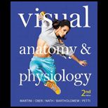 Visual Anatomy and Physiology