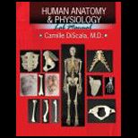Human Anatomy and Physiology Lab Manual.