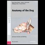 Anatomy of the Dog