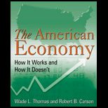 American Economy How It Works and How It Doesnt