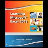 Learning Microsoft Excel 2013   With CD