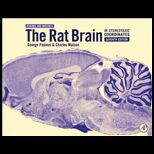 Rat Brain in Stereotaxic Coordinates