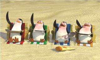 The Penguins Skipper, Kowalski, Rico and Private on the Beach