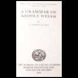 Grammar of Middle Welsh