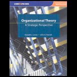 Organizational Theory (Custom)