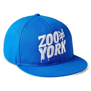 Zoo York Hat   Boys, Blue, Boys
