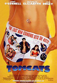 Tomcats Movie Poster