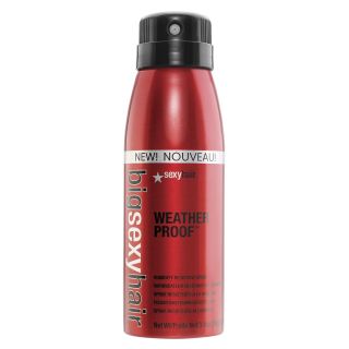 Sexy Hair Concepts Sexy Hair Weather Proof Anti Humidity Spray