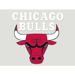 Chicago Bulls Wincraft Die Cut Color Decal 8in X 8in