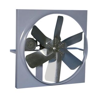 Canarm Belt Drive Wall Exhaust Fan with Cabinet, Back Guard and Shutter   30