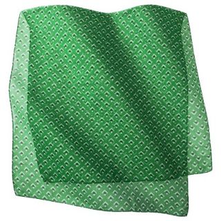 Merona Geometric Print Scarf   Green
