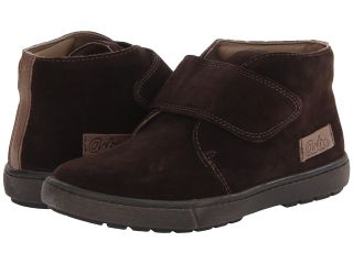 Aster Kids Articho Boys Shoes (Brown)